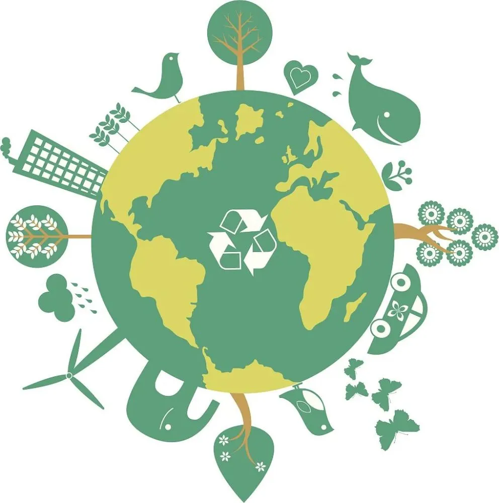 Wipes Remain Essential in Professional Cleaning, with Growing Focus on Price and Sustainability