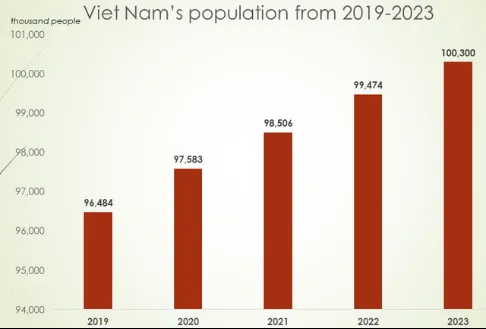 Overview of Vietnam's baby diaper market