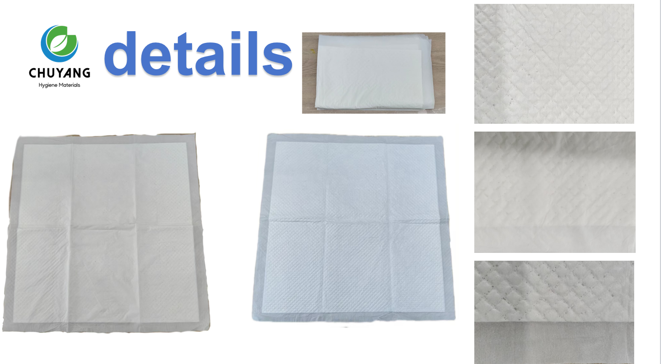 Premium Pet Pads Leak-Proof Odor Control for Dog/Cat Training and Home Protection