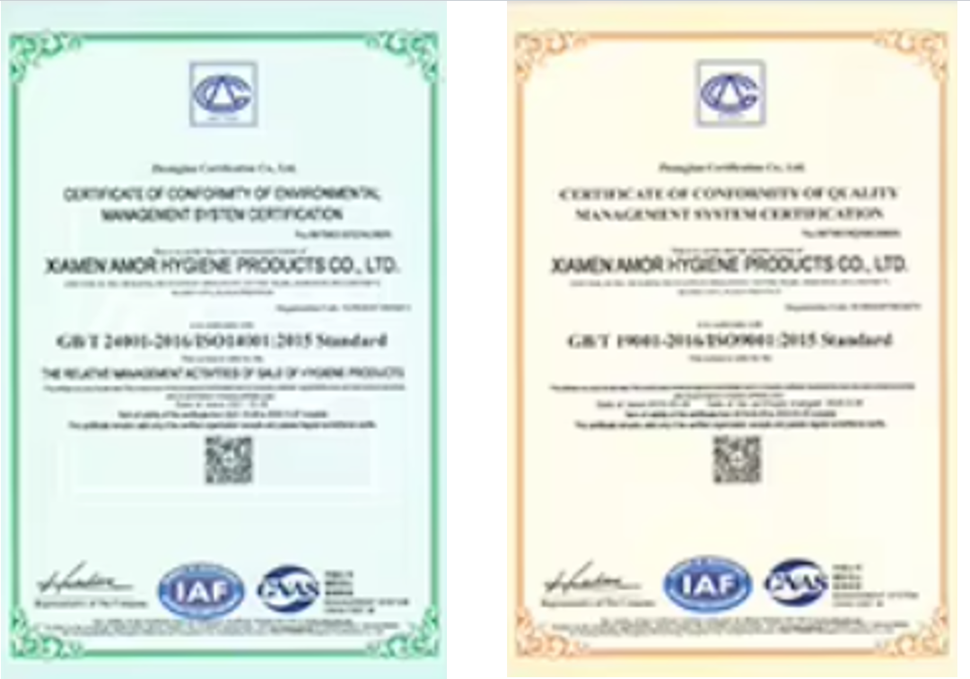 Factory OEM sanitary pads pocket 240mm Ultra-thin Anion Sanitary Napkins for women period