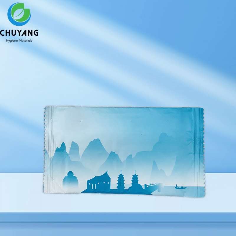Individually Packaged Customized Label Natural Pure Water Wipes Organic Biodegradable Disposable Wet