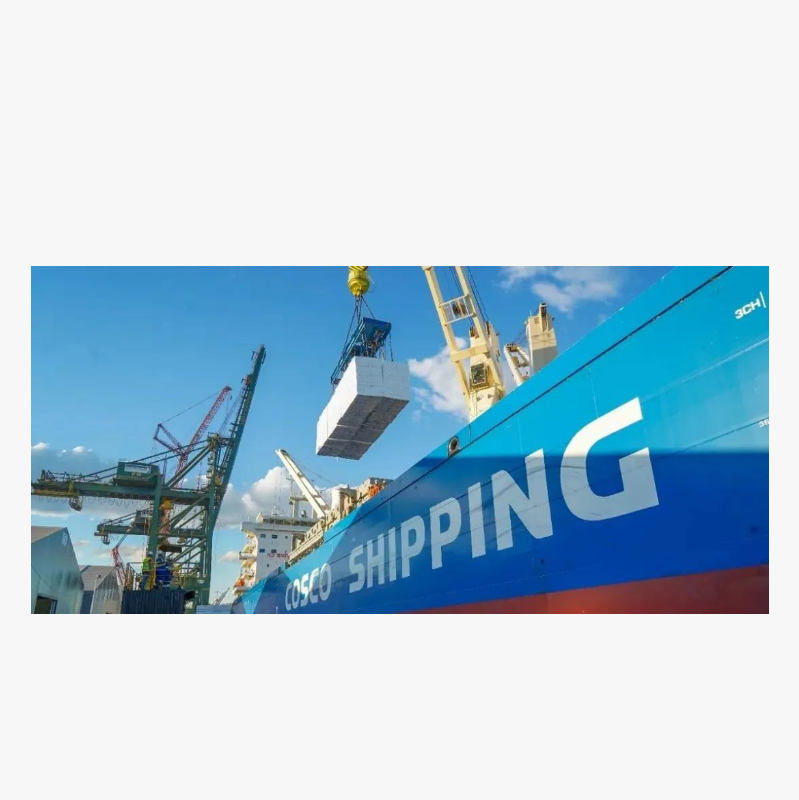 Brazil's wood pulp exports increased significantly in the first half of 2025, exceeding 11 million t