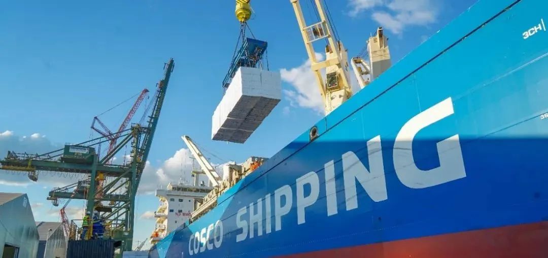 Brazil's wood pulp exports increased significantly in the first half of 2025, exceeding 11 million t