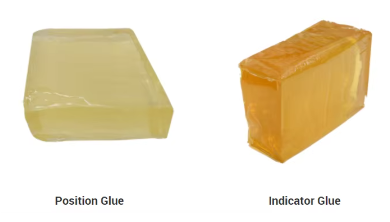 Focus Hot Melt Glue Adhesive Raw Materials Construction/Elastic/Position Glue for Making Diapers