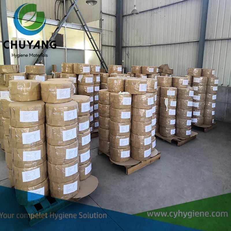 Breathable Packaging Film for Sanitary Napkin and Diaper: Functions, Materials, and Applications