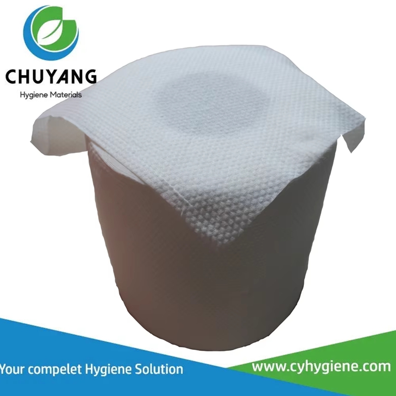 Quanzhou Chuyang Hygiene Materials Co.,Ltd