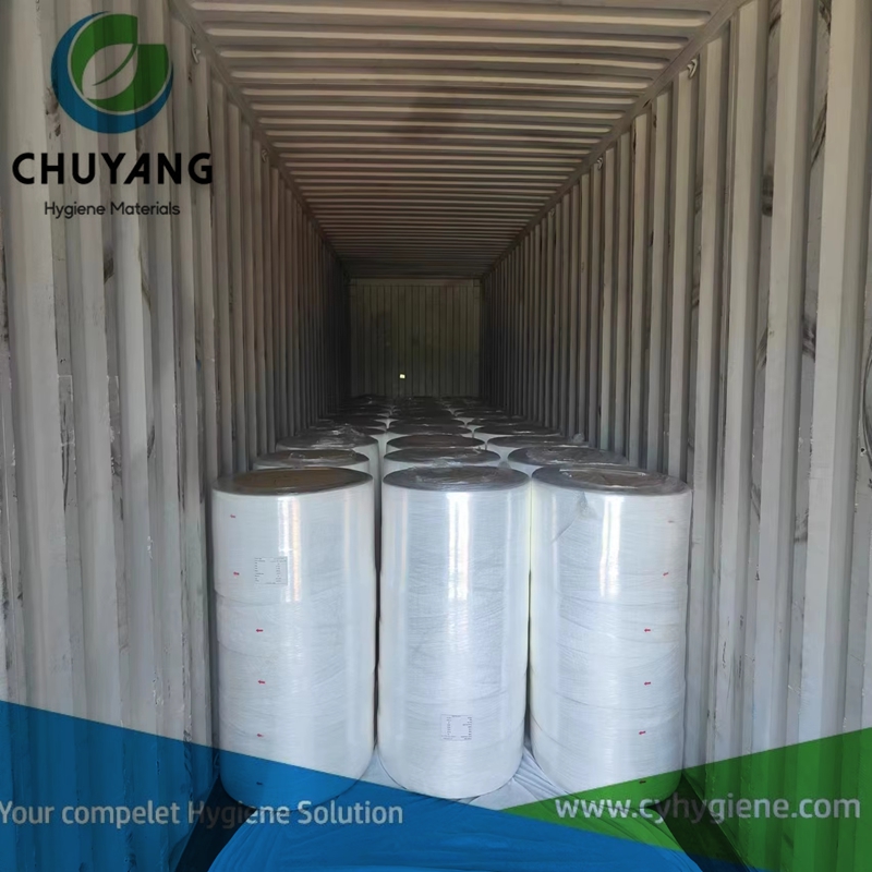 Spunlace Nonwoven 30% Viscose 70% Polyester for Wet Wipes